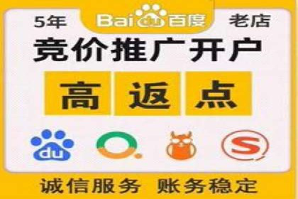 案例对比：SEO与SEM优化效果深度分析